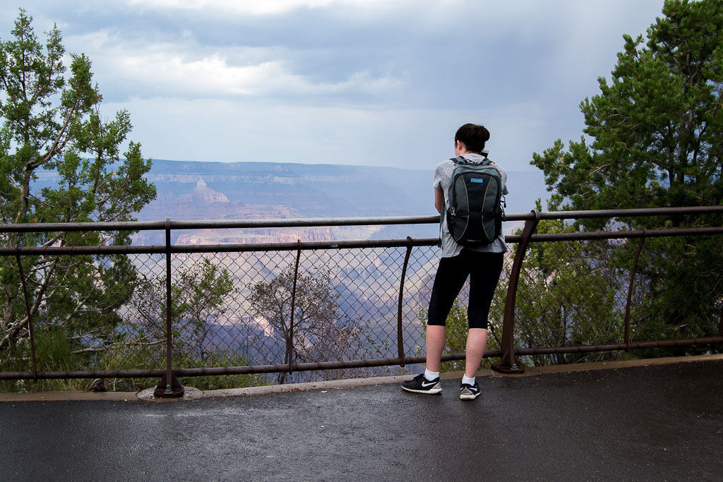 Grand Canyon one-star review, "ooh" "aah"